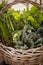 Basket of Kale, Collard greens vegetables