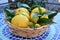 Basket of lemons and citrons