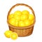 Basket with lemons fruits. Vector illustration.