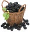 Basket of mulberries