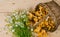 Basket of mushrooms and bouquet of camomiles