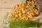 Basket of mushrooms and bouquet of camomiles