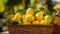 Basket overflowing with ripe, aromatic lemons