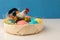 The basket with painted Easter eggs is decorated with toy chicken and chickens. White background.