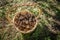 basket with pine cones standing on the ground