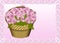 Basket with pink chrysanthemums
