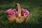 A basket of pink zinnias