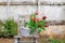 Basket with red tulips sitting on a chair in the garden oil painting. Art for background.