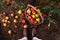 Basket with ripe apples