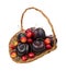 Basket of ripe cherries and plums