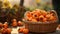 Basket of ripe persimmons against a dreamy bokeh backdrop