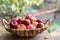 Basket of ripe tasty apples on a garden background