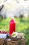 Basket, sandwiches, plaid and juice in a blossoming garden