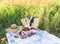 Basket, sandwiches, plaid and juice in a poppy field