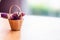 Basket spring flower flora beautiful nature with blur background