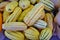 Basket of striped yellow and green delicata squash in the fall