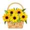 Basket with sunflowers. Vector illustration.