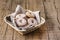 Basket with Tasty Homemade Biscuit Cookies Copy Space Wooden Background Horizontal Round Cookies Decorated With Sugar Powder