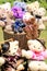 Basket with Teddies