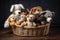 a basket of toys, including squeaky and furry ones, for a beloved pet