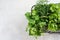 Basket with a variety of fresh green culinary herbs