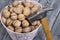 A basket with walnuts. There is a hammer nearby. On painted pine planks