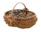 Basket in wattled from willow rods