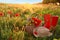 Basket of wildflowers with straw hat and boots in sunlit field