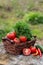 Basket and wooden plate with fresh vegetables (tomatoes, cucumber, chili pepers, dill) on wooden background. Outdoor, in