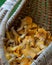 Basket with yellow golden chanterelles. Cantharellus cibarius, wild edible mushrooms.