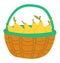 Basket with Yellow Pear Isolated Juicy Fruits