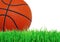 Basketball ball on green grass over white