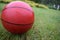Basketball ball lying on fresh grass after the rain.