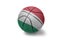 Basketball ball with the national flag of hungary on the white background