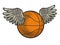 Basketball ball with wings color sketch raster