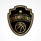 Basketball Champions Badge Emblem Illustration