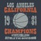 Basketball Champions t-shirt