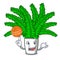 With basketball fern frond frame decoration on cartoon