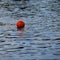 A basketball floats in the lake