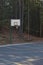 Basketball in a forest