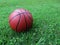 basketball green grass