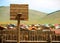 Basketball ground next to yurt, Mongolia