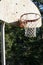 A basketball hoop in a forest park