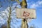 Basketball hoop primitive board with broken net on tree