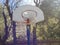 Basketball Hoop In Sedona