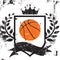 Basketball shield insignia