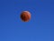 A basketball shot in the air with blue sky background