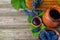 Baskets and bowl with grapes beside Jar and cup with wine stand on on rustic wood. Wine making background.