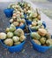 Baskets of coconuts at fruit stand. Kauai, Hawaii