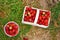 Baskets with freshly picked red organic strawberries on a strawberry field to pick yourself